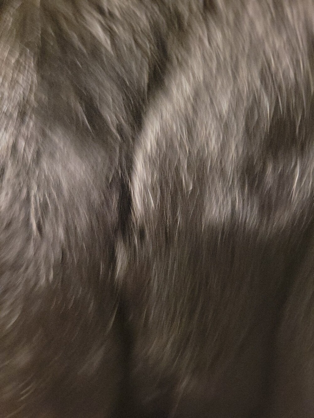 Vintage Black  Fur Women's Coat Small/med - Picture 5 of 7